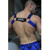 Breedwell Harnais Revolution Bleu